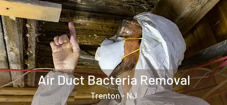  Air Duct Bacteria Removal Trenton - NJ
