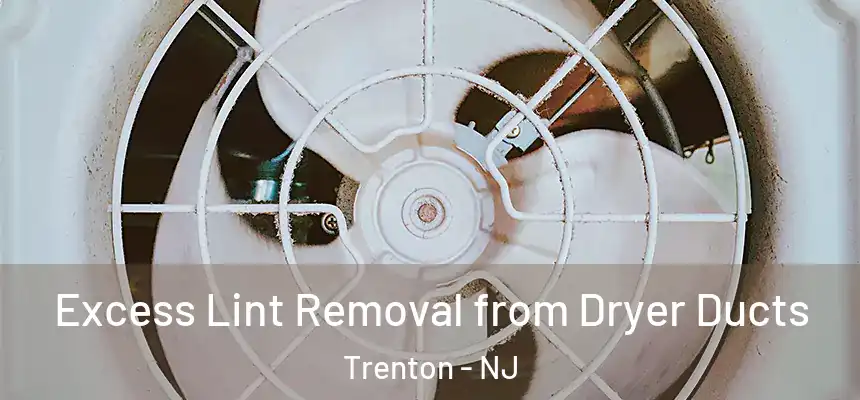 Excess Lint Removal from Dryer Ducts Trenton - NJ