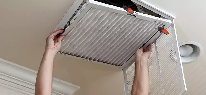 Preventive Cockroach-Proofing for Ducts in Trenton