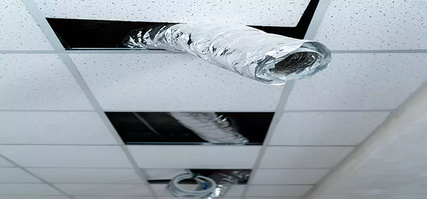 Affordable HVAC Sanitizing After Pest Removal in Trenton