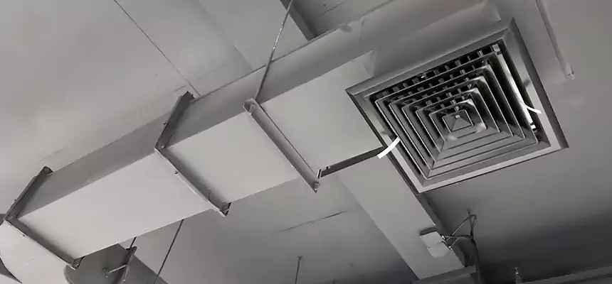 Restorative Allergy Relief Vent Cleaning – Coil, Blower & Housing Detail in Trenton