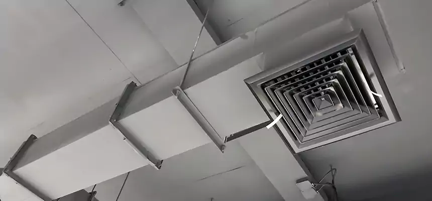 Our Rodent Droppings In Vents Services in Trenton, NJ