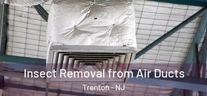  Insect Removal from Air Ducts Trenton - NJ