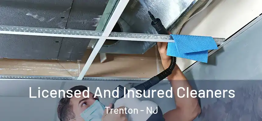 Licensed And Insured Cleaners Trenton - NJ