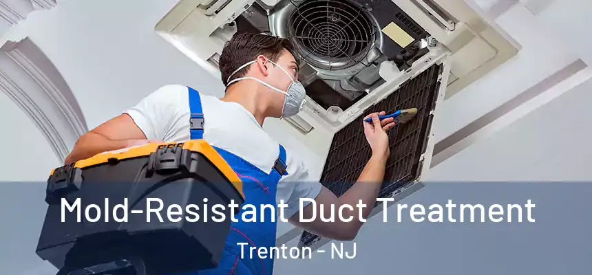  Mold-Resistant Duct Treatment Trenton - NJ