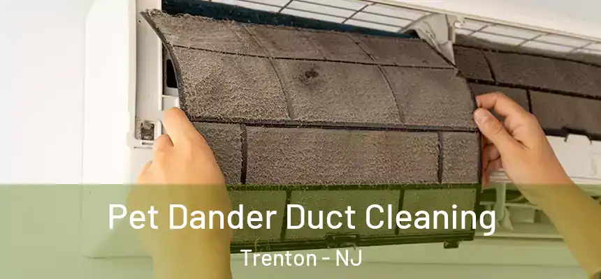 Pet Dander Duct Cleaning Trenton - NJ