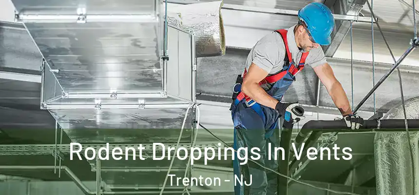 Rodent Droppings In Vents Trenton - NJ