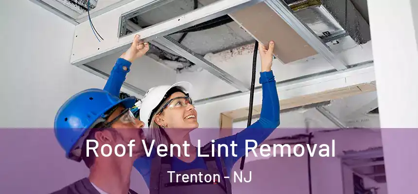  Roof Vent Lint Removal Trenton - NJ