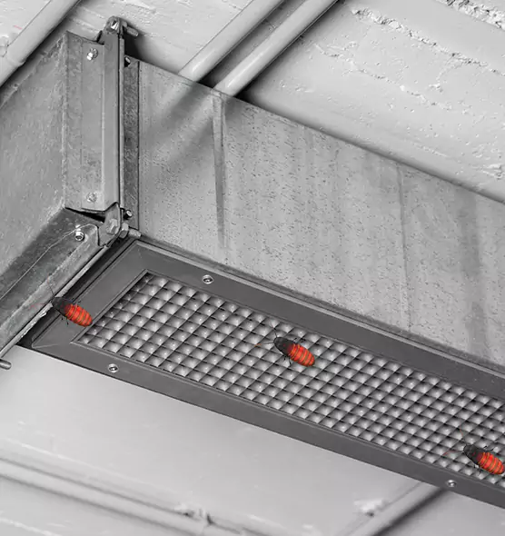About Air Duct Cockroach Removal in Trenton, NJ