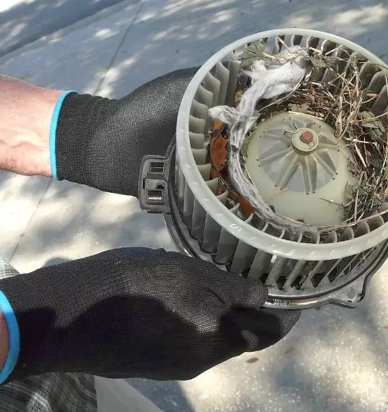 About Air Duct Rat Removal in Trenton, NJ