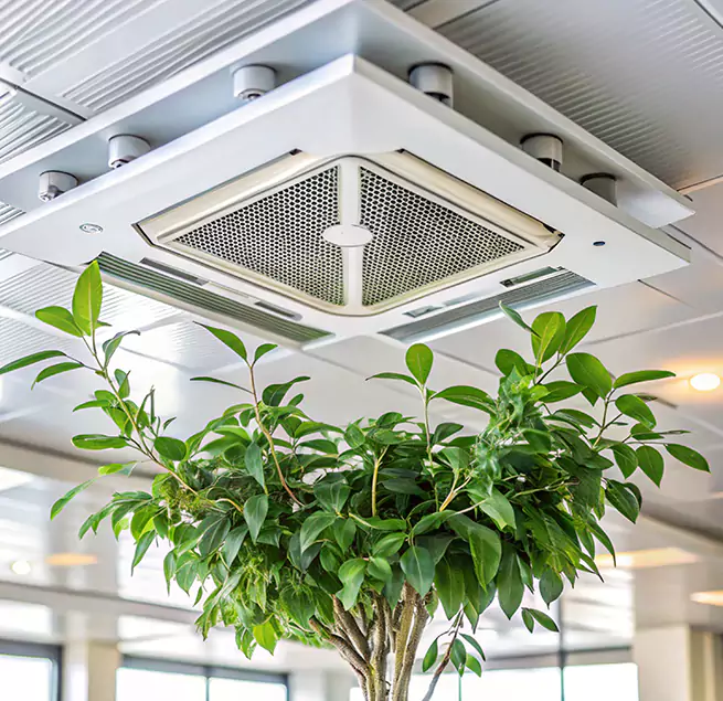 Why Homeowners & Businesses Trust Us in Trenton, NJ?